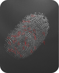 Forensic_Output_Minutiae_1